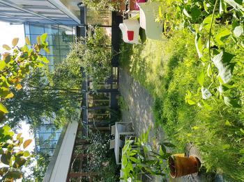 Bibliotheksgarten der BSwO