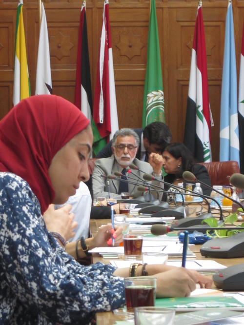Excursion to the Headquarter of the Arab League