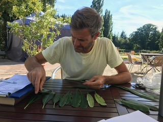 Dr. Nils Köster bei der Nachbestimmung von Pflanzen im tropischen Gewächshaus
