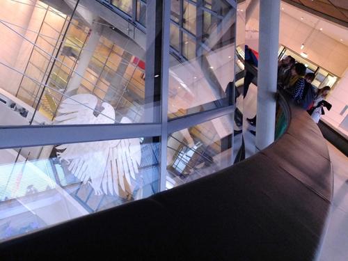 19. Oktober 2015 - Besuch im Deutschen Bundestag