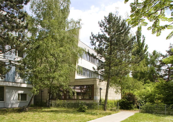 Institute for Media and Communication Studies