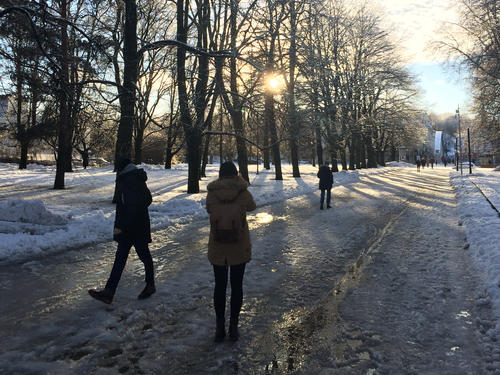 Durch den Ülejõe-Park gehen die Studierenden jeden Tag auf dem Weg vom Wohnheim zur Universität.