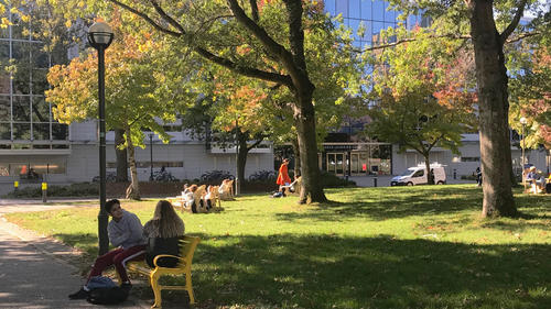 UBC Campus (im Hintergrund ist die Walter C. Koerner Library zu erkennen