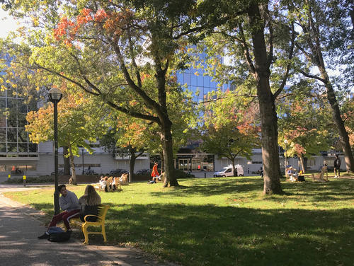 UBC Campus (mit der Walter C. Koerner Library im Hintergrund)