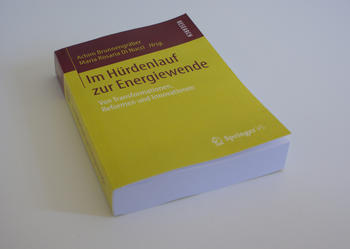 Buch "Im Hürdenlauf zur Energiewende"