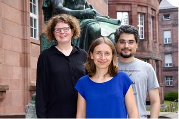 Das institutionelle Design internationaler Organisationen