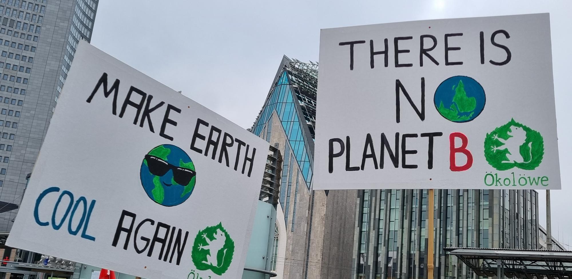 Climate Movement in a Vibrant Democracy