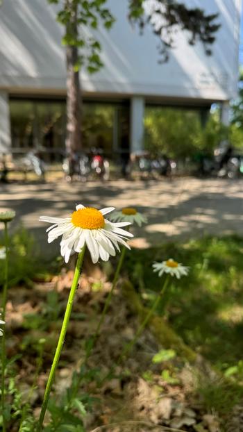 Year of Biodiversity at FU Berlin