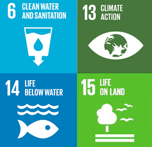 Green SDGs